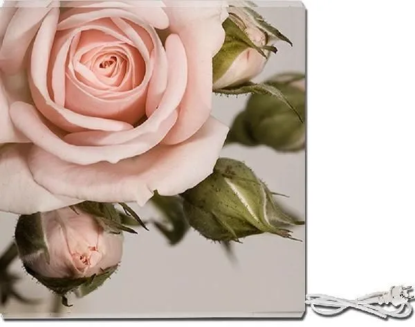 Инфракрасный обогреватель СТЕП-250/0,59 x 0,59 УФ-печать