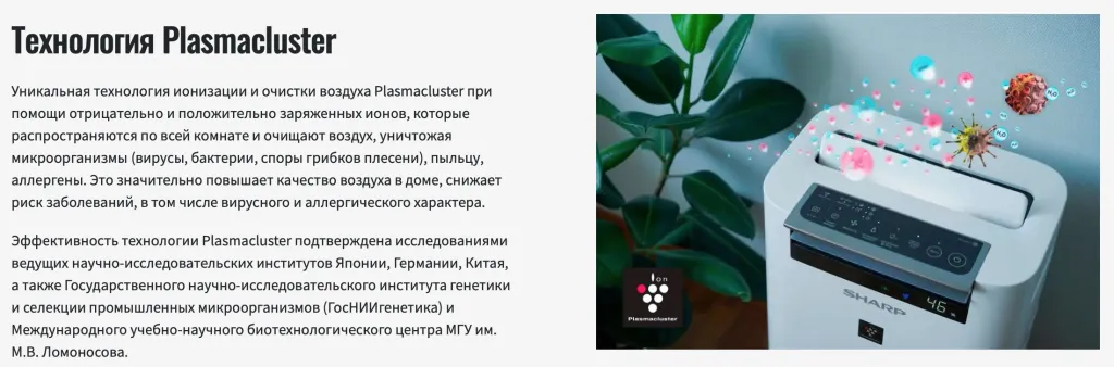 Снимок экрана 2024-10-08 в 09.19.32.png Снимок экрана 2024-10-08 в 09.19.32.png