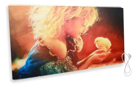 Инфракрасный обогреватель СТЕП-250/0,96 x 0,52 УФ-печать