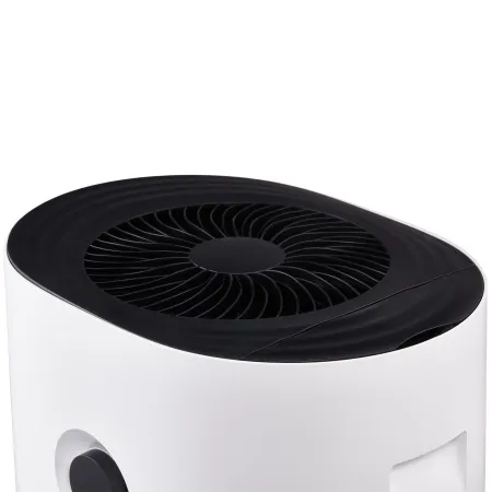 Мойка воздуха Electrolux EHW-620.  Мойка воздуха Electrolux EHW-620