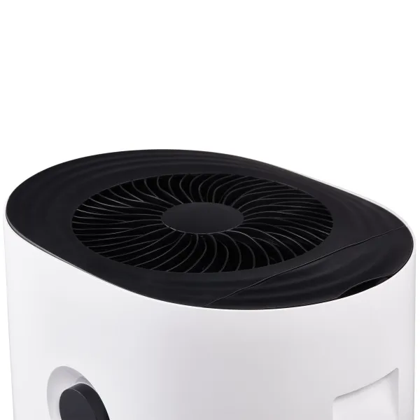 Мойка воздуха Electrolux EHW-620.  Очистители и мойки воздуха мойка воздуха electrolux ehw-620