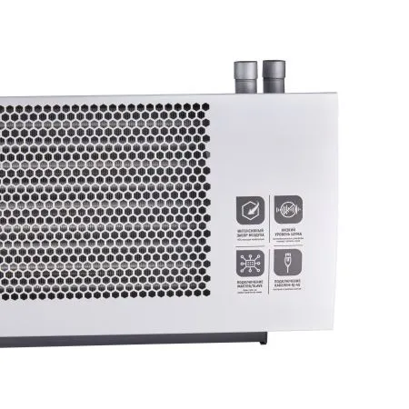 Тепловая завеса Ballu BHC-M20W30-PS2