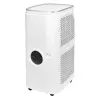 Мобильный кондиционер Electrolux Ice Column EACM-22 JK/N3 Мобильные кондиционеры мобильный кондиционер electrolux ice column eacm-22 jk/n3