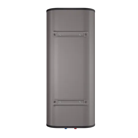Накопительный водонагреватель Thermex Fora 100100