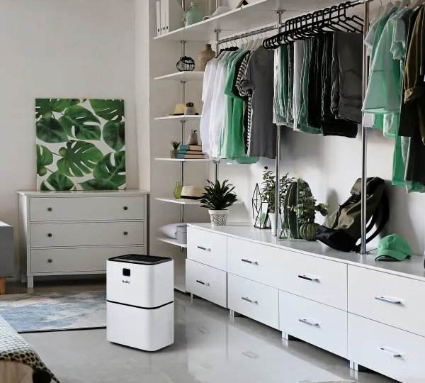 Осушитель воздуха Ballu BD15ER