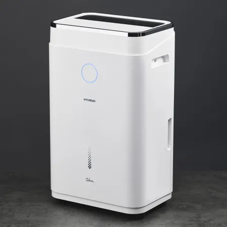 Осушитель воздуха Hyundai H-DH20-P83WF
