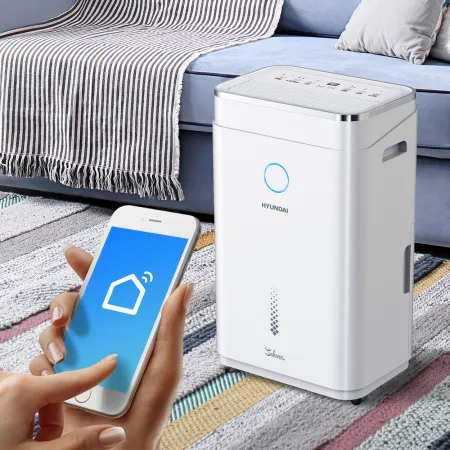 Осушитель воздуха Hyundai H-DH20-P83WF